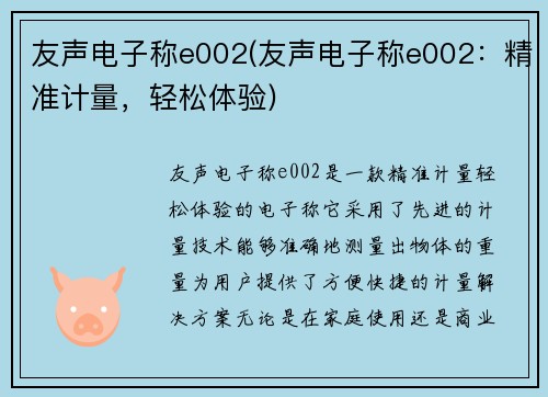 友声电子称e002(友声电子称e002：精准计量，轻松体验)