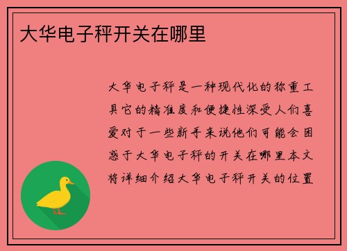 大华电子秤开关在哪里